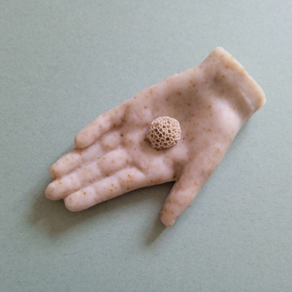 Hand_Schnappschuss_Q.jpeg